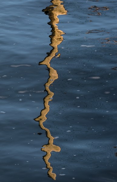 Reflet d'un piquet dans le bassin